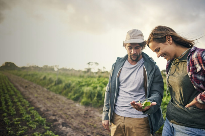Two young farmers in a field. They are looking at the plants.