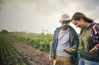 Zwei junge Landwirt:innen auf einem Feld. Sie betrachten die Pflanzen.