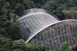 A futuristic building in the middle of the forest.